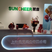 上海晟直實業有限公司